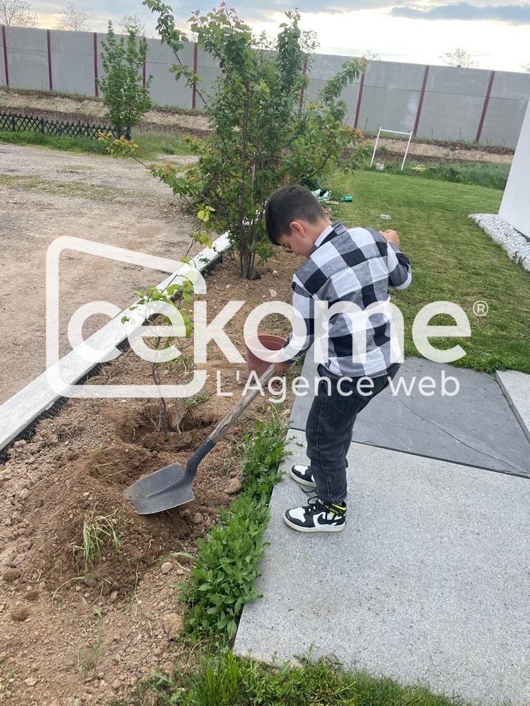 8 10 | Cekome Jeune garçon plantant un arbre à côté d'un chemin pavé.