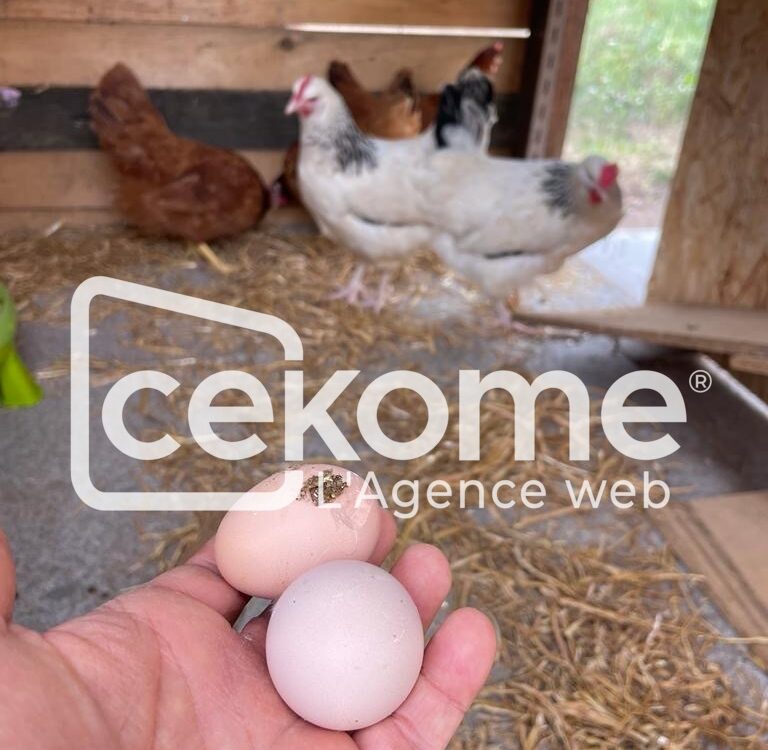 Main tenant deux &oelig;ufs frais devant un poulailler avec des poules en arri&egrave;re-plan.