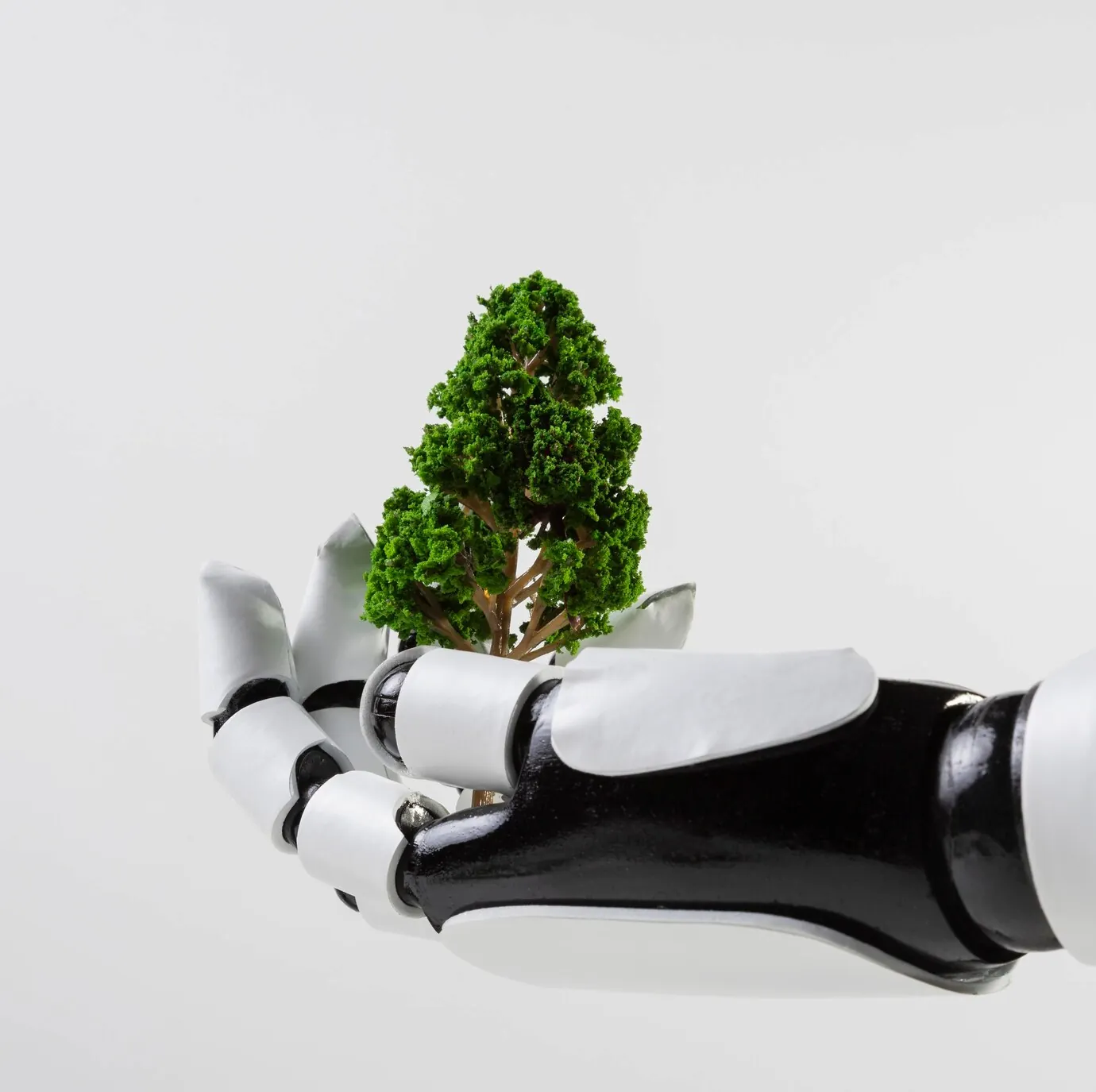 ENVIRONMENT EDUCATION DAY CONCEPT_23 2148746475 | Cekome Main de robot tenant un petit arbre, symbolisant l'intelligence artificielle au service de l'écologie et du développement durable.