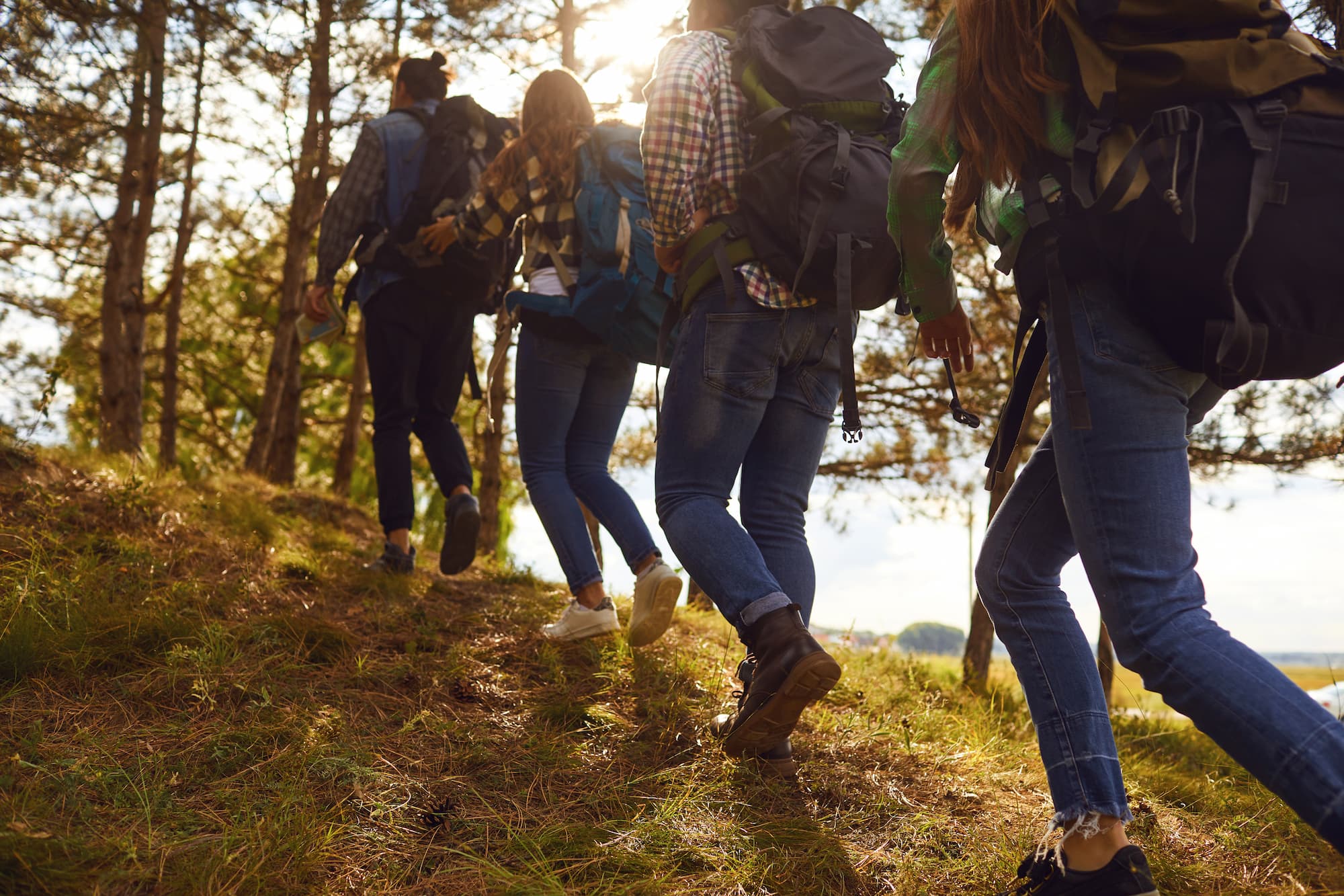 ADOBESTOCK_279132890 | Cekome Groupe de randonneurs marchant dans une forêt ensoleillée avec des sacs à dos.